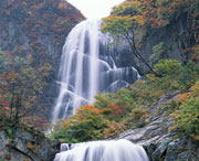 茂县天气预报40天